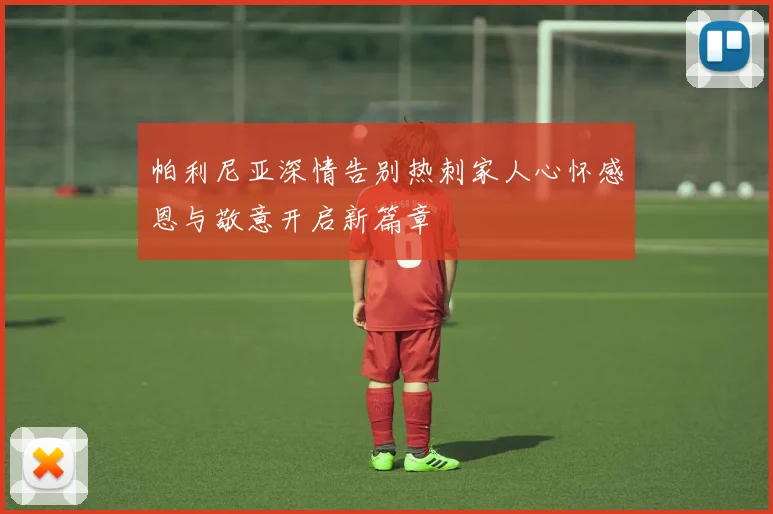 帕利尼亚深情告别热刺家人心怀感恩与敬意开启新篇章